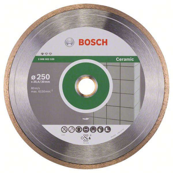 Алмазный отрезной круг Bosch Standard for Ceramic 250 x 30+25,40 x 1,6 x 7 mm фото