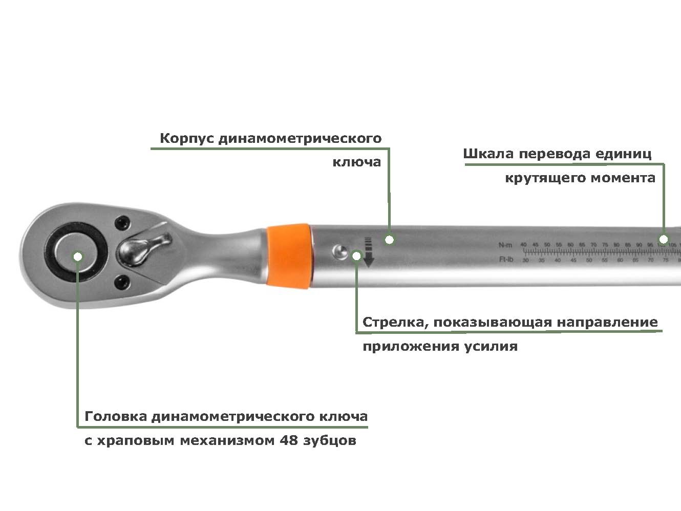 Teardown Ключ Купить Zaka