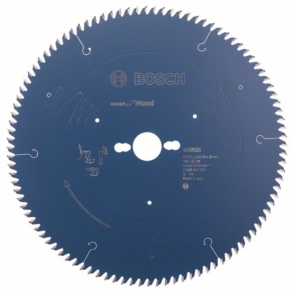 Пильный диск Bosch Expert for Wood 300 x 30 x 2,5 мм, 100 фото